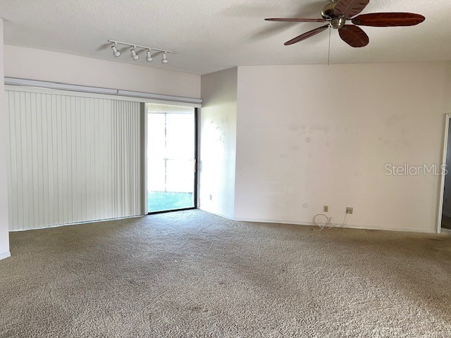 3000 Red Oak Court #204 Palm Harbor FL 34684 TB8456455 image7