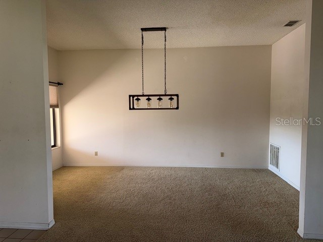 3000 Red Oak Court #204 Palm Harbor FL 34684 TB8456455 image8