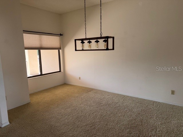 3000 Red Oak Court #204 Palm Harbor FL 34684 TB8456455 image9