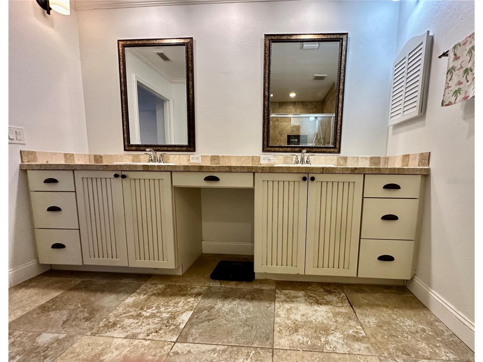 3000 Tangerine Terrace Palm Harbor FL 34684 TB8461951 image10