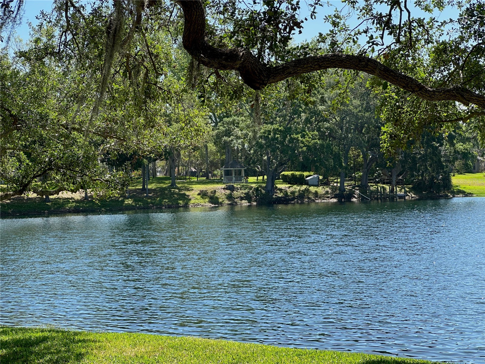 3000 Tangerine Terrace Palm Harbor FL 34684 TB8461951 image30