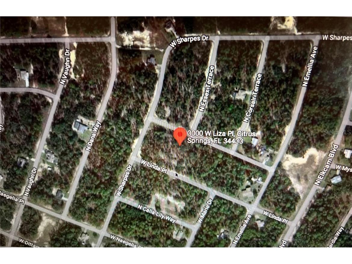 3000 W Liza Place Citrus Springs FL 34433 O6061873 image1