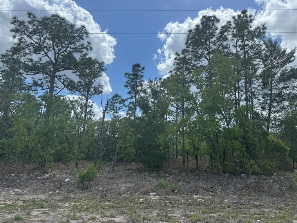 3000 W Liza Place Dunnellon FL 34433 A4648598 image1