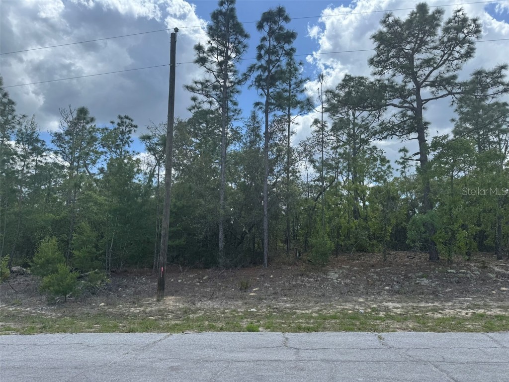 3000 W Liza Place Dunnellon FL 34433 A4648598 image2