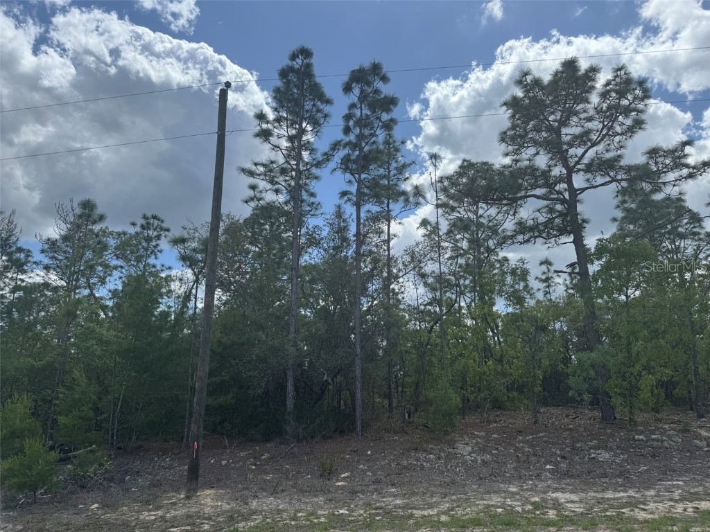 3000 W Liza Place Dunnellon FL 34433 A4648598 image3