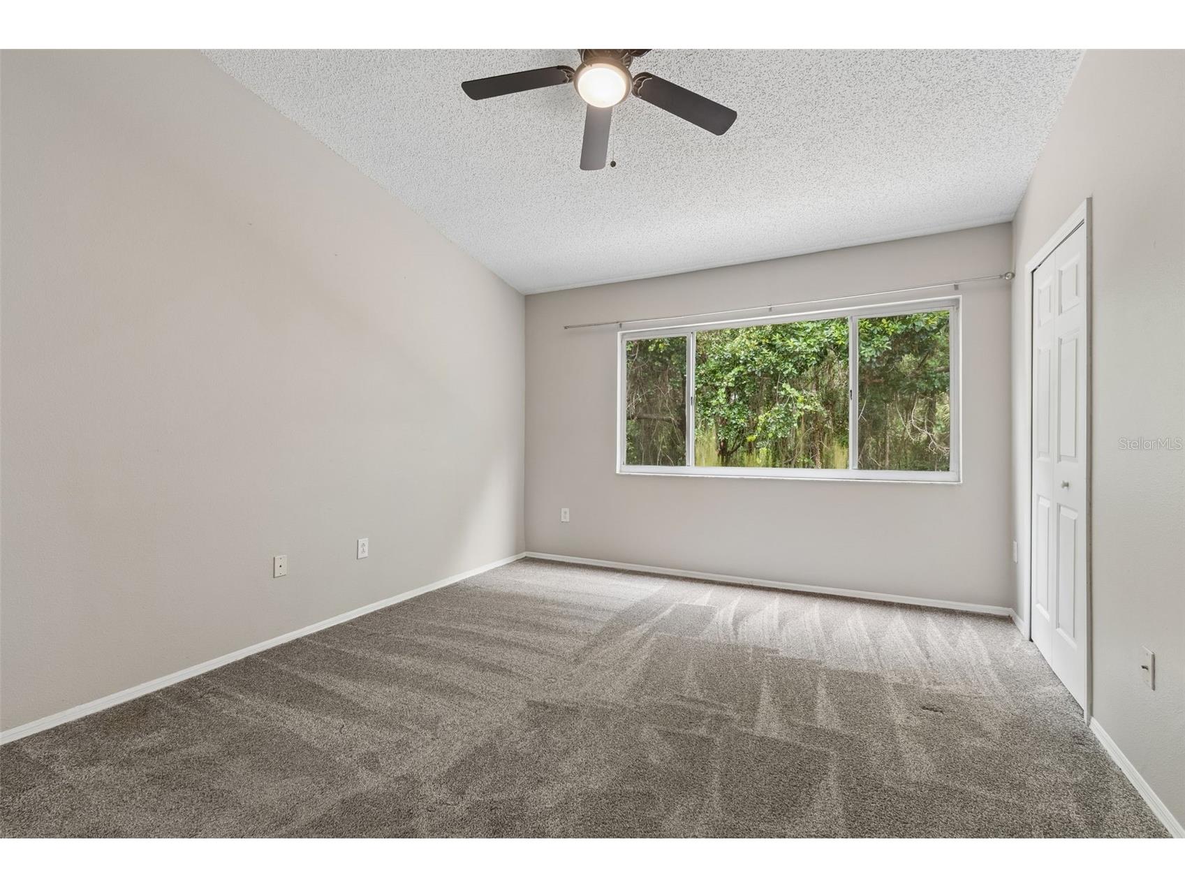 30005 Granda Hills Court Wesley Chapel FL 33543 TB8517420 image21