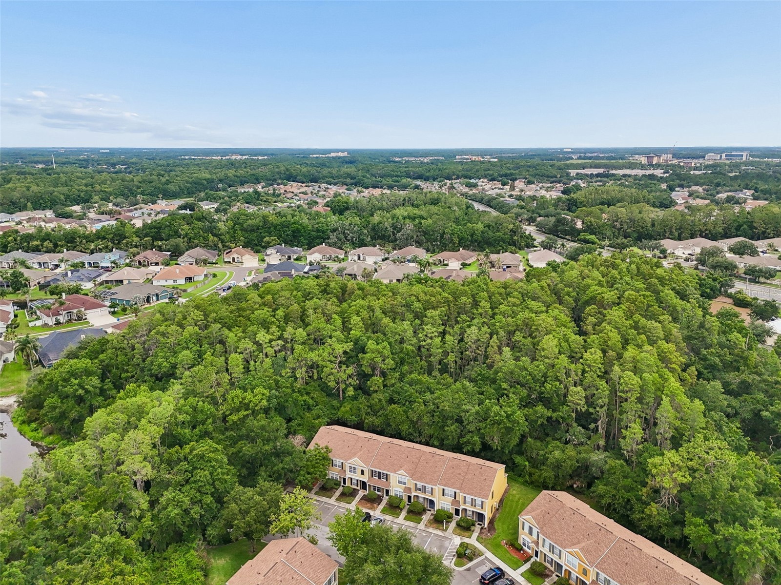 30005 Granda Hills Court Wesley Chapel FL 33543 TB8517420 image29
