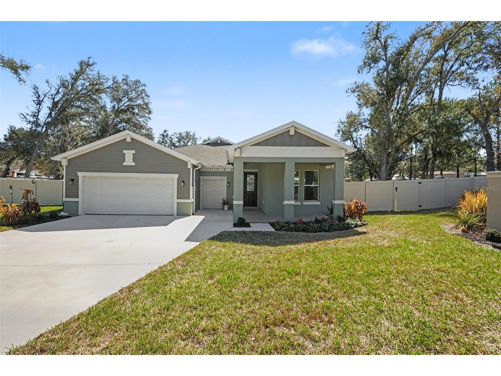 30008 Vienna Woods Lane Wesley Chapel FL 33545 TB8471676 image1