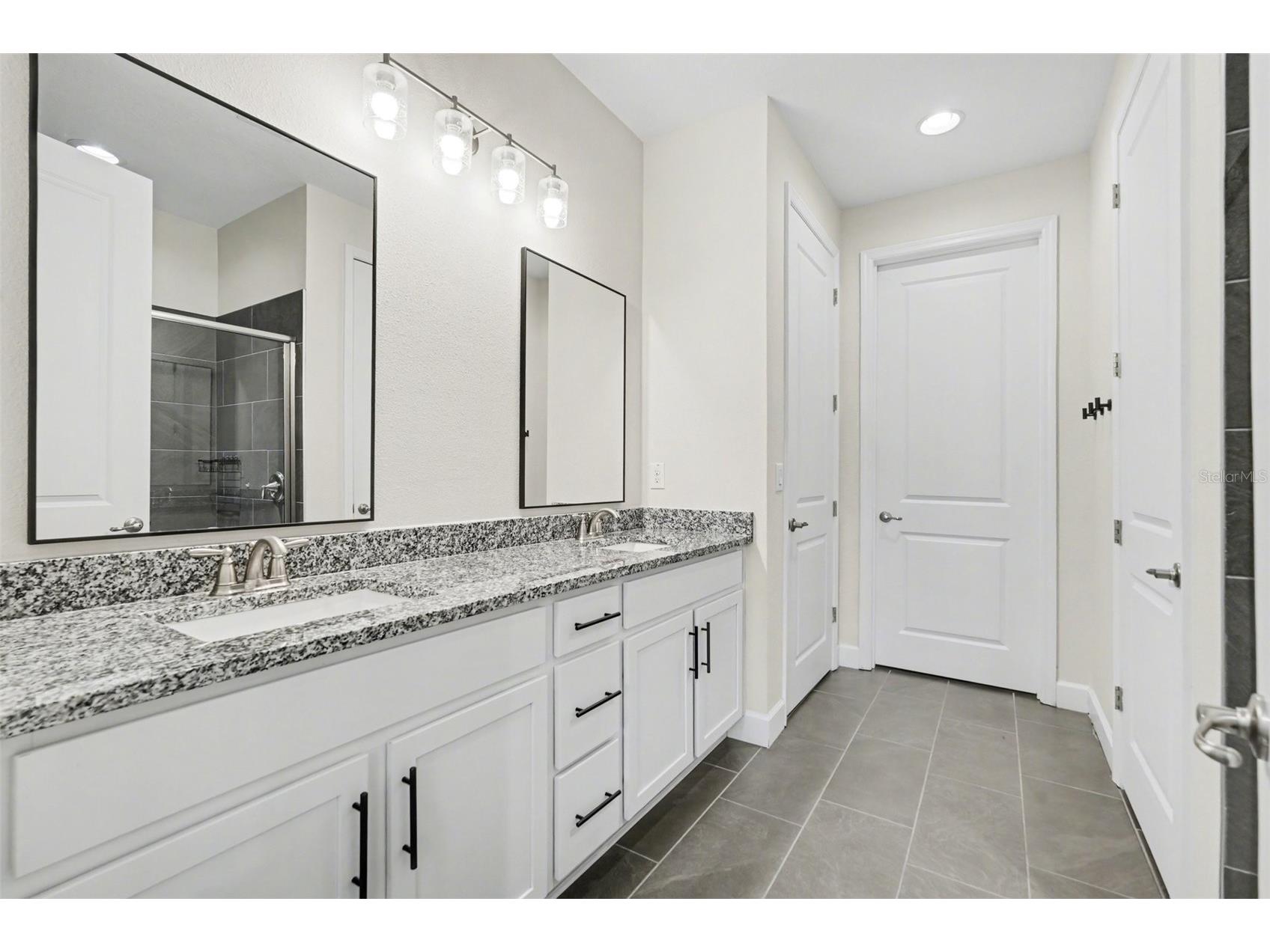 30008 Vienna Woods Lane Wesley Chapel FL 33545 TB8471676 image18