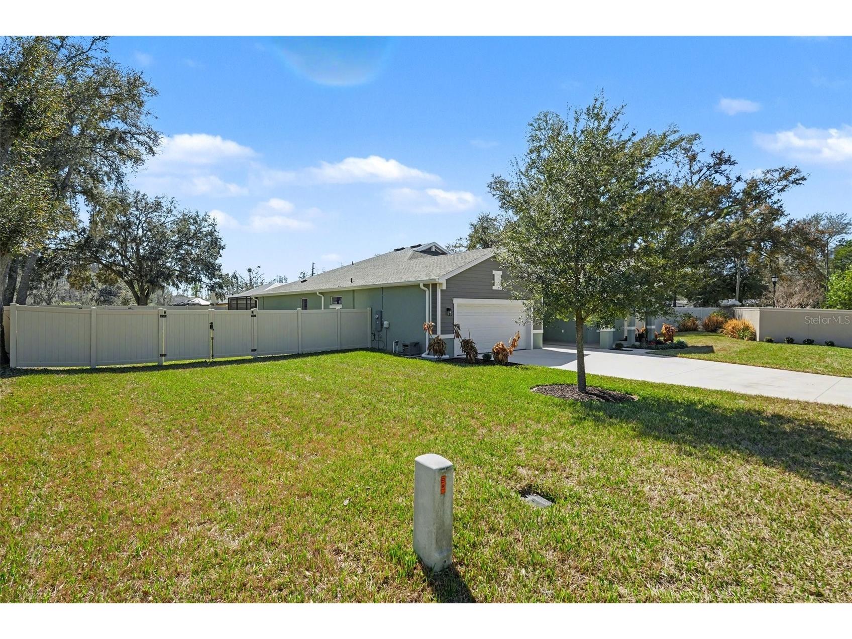 30008 Vienna Woods Lane Wesley Chapel FL 33545 TB8471676 image4