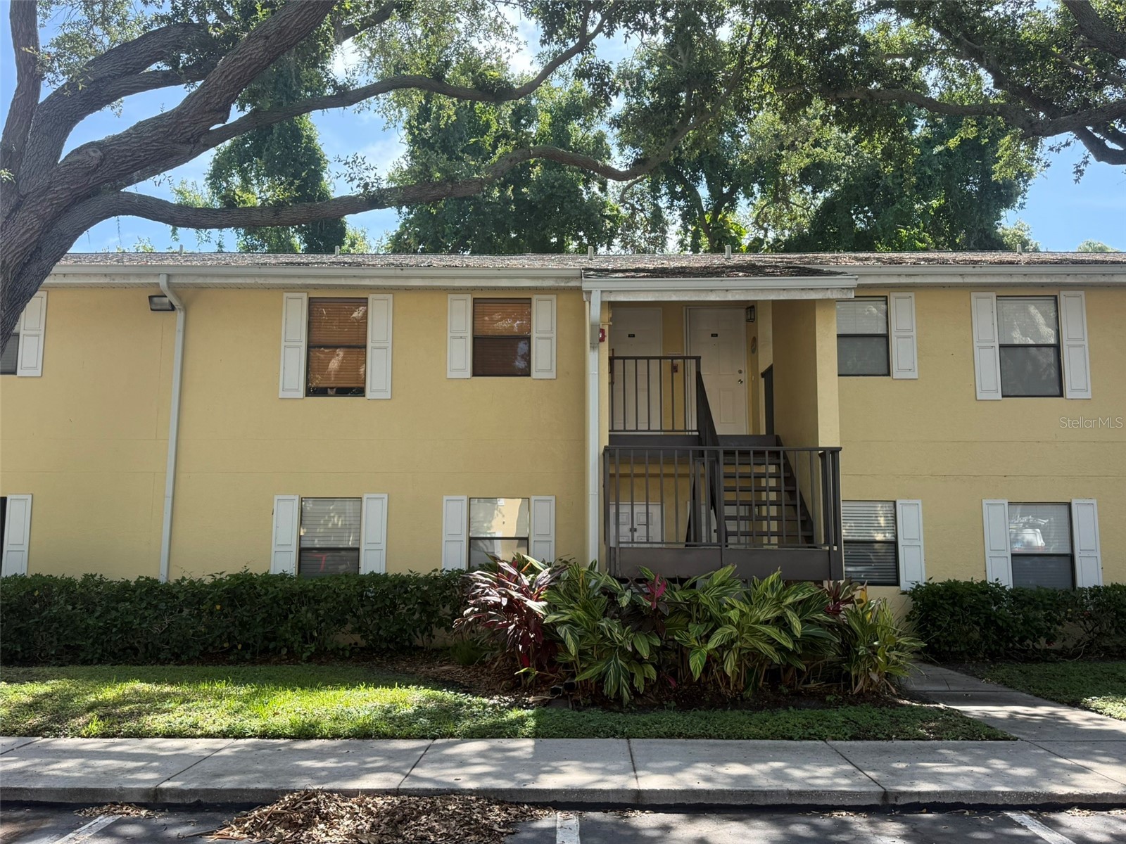 3001 58th Avenue S #805 Saint Petersburg FL 33712 TB8508871 image3