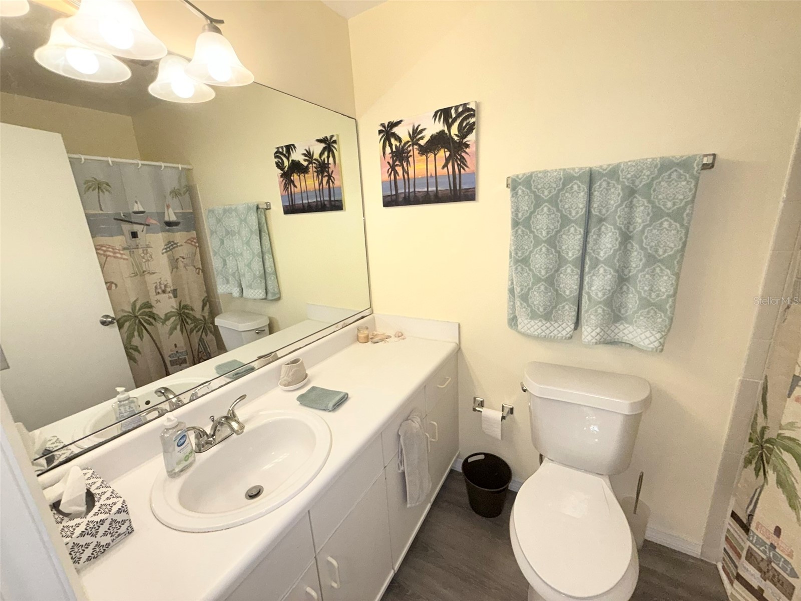 3001 58th Avenue S #805 Saint Petersburg FL 33712 TB8508871 image38