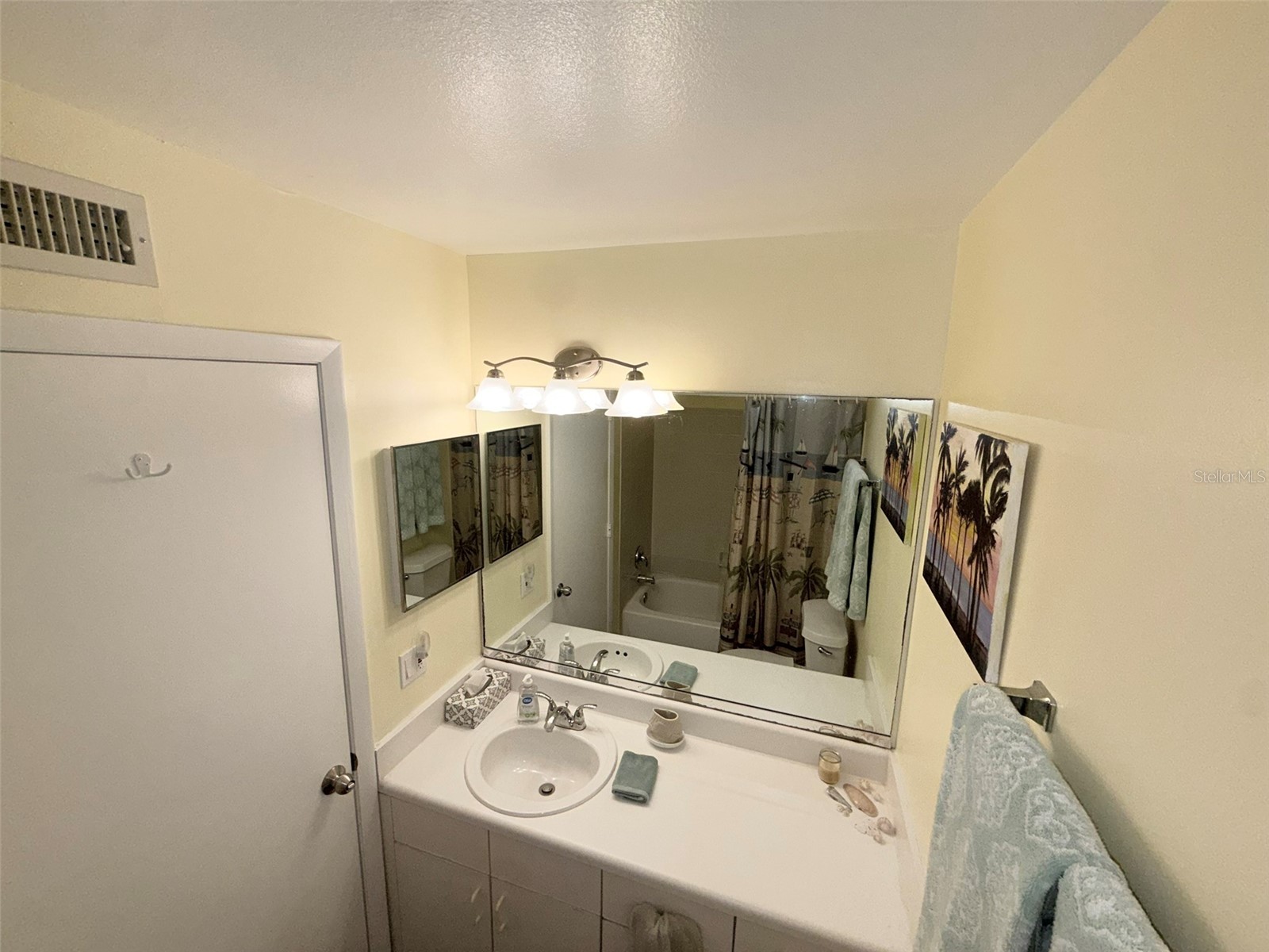 3001 58th Avenue S #805 Saint Petersburg FL 33712 TB8508871 image39