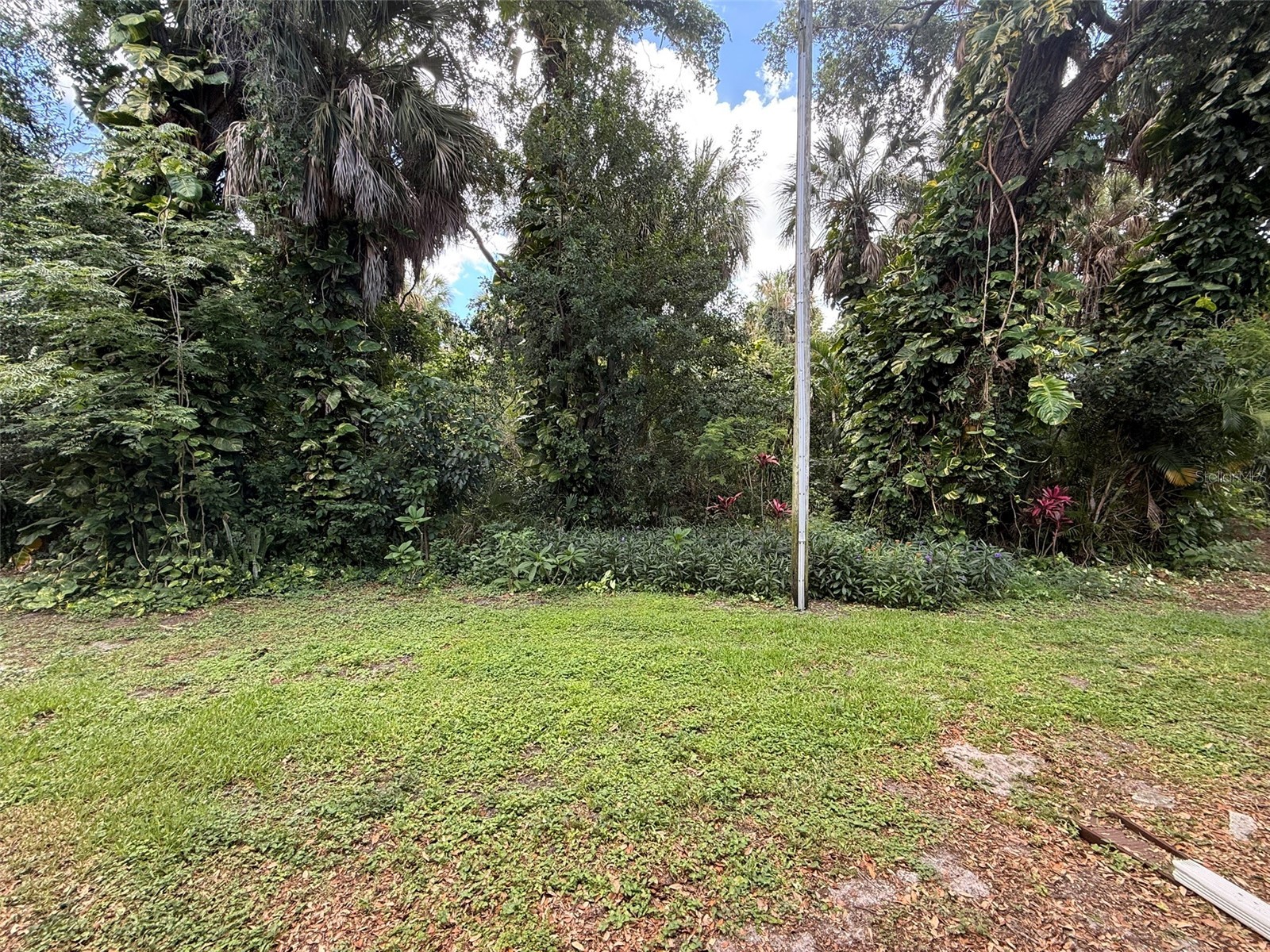3001 58th Avenue S #805 Saint Petersburg FL 33712 TB8508871 image50