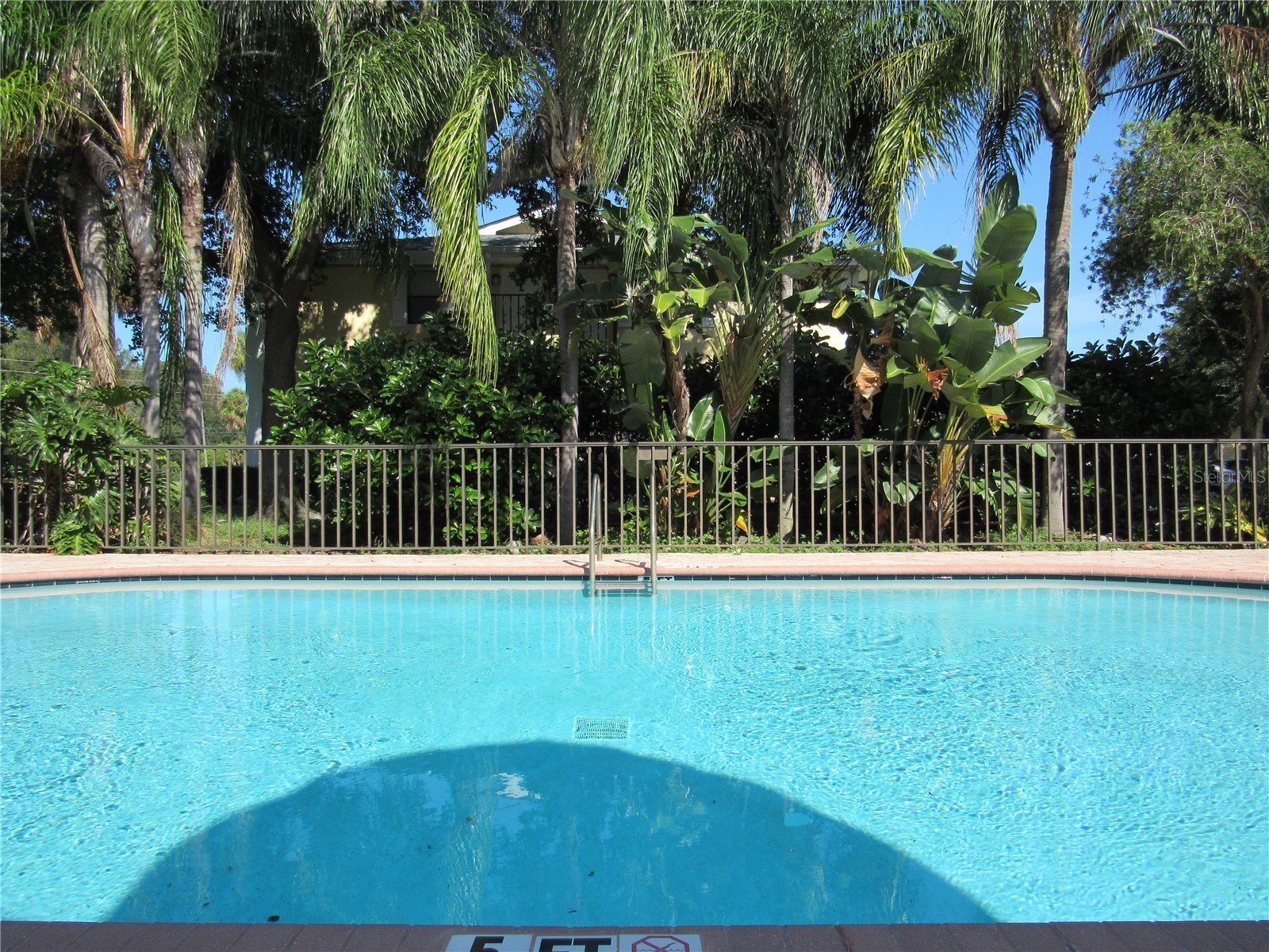 3001 58th Avenue S #805 Saint Petersburg FL 33712 TB8508871 image66