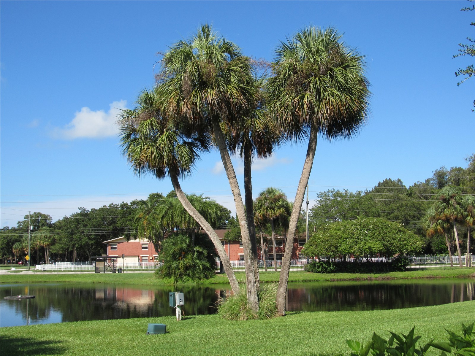 3001 58th Avenue S #805 Saint Petersburg FL 33712 TB8508871 image70