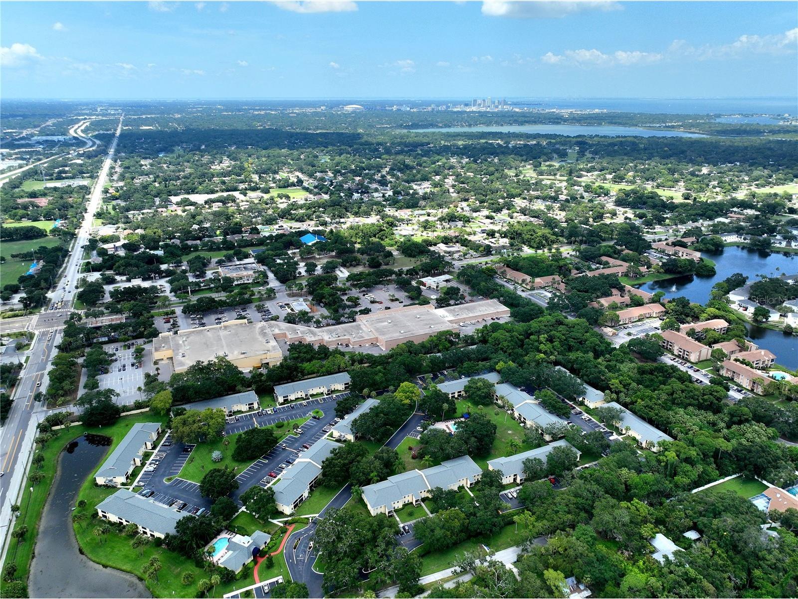 3001 58th Avenue S #805 Saint Petersburg FL 33712 TB8508871 image91
