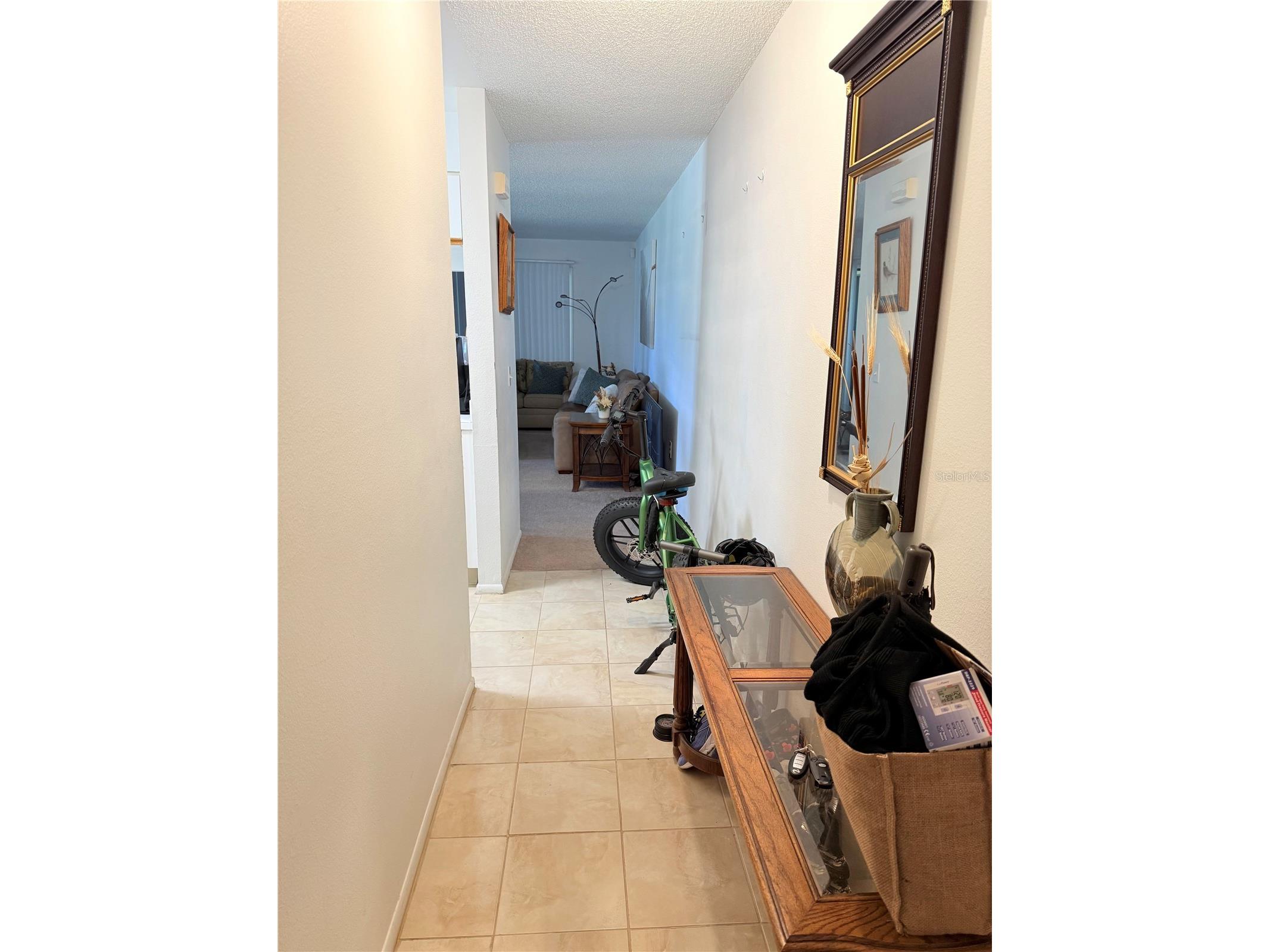 3001 58th Avenue S #1002 Saint Petersburg FL 33712 TB8419856 image2