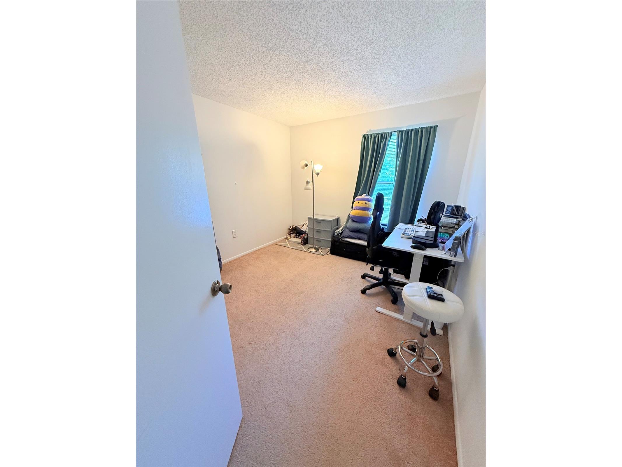 3001 58th Avenue S #1002 Saint Petersburg FL 33712 TB8419856 image24