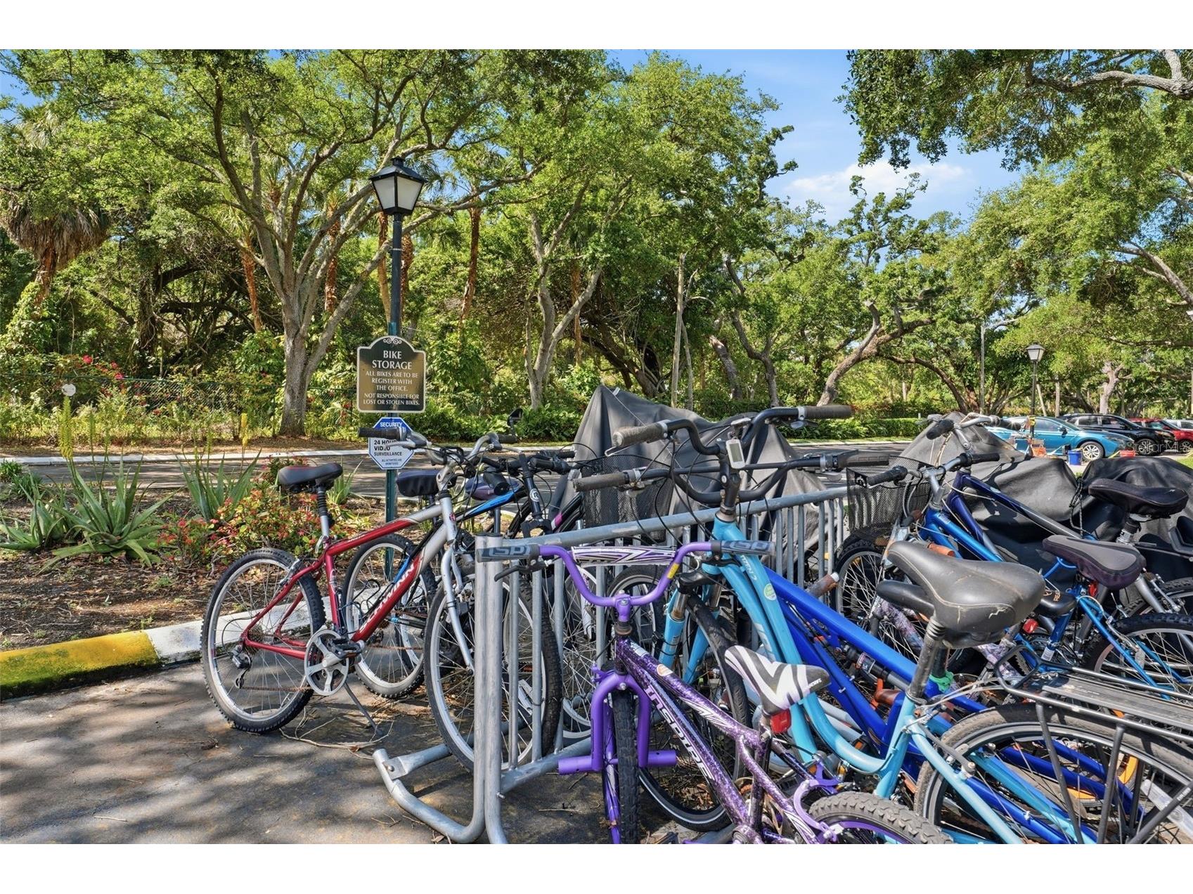 3001 58th Avenue S #1005 Saint Petersburg FL 33712 TB8502465 image28
