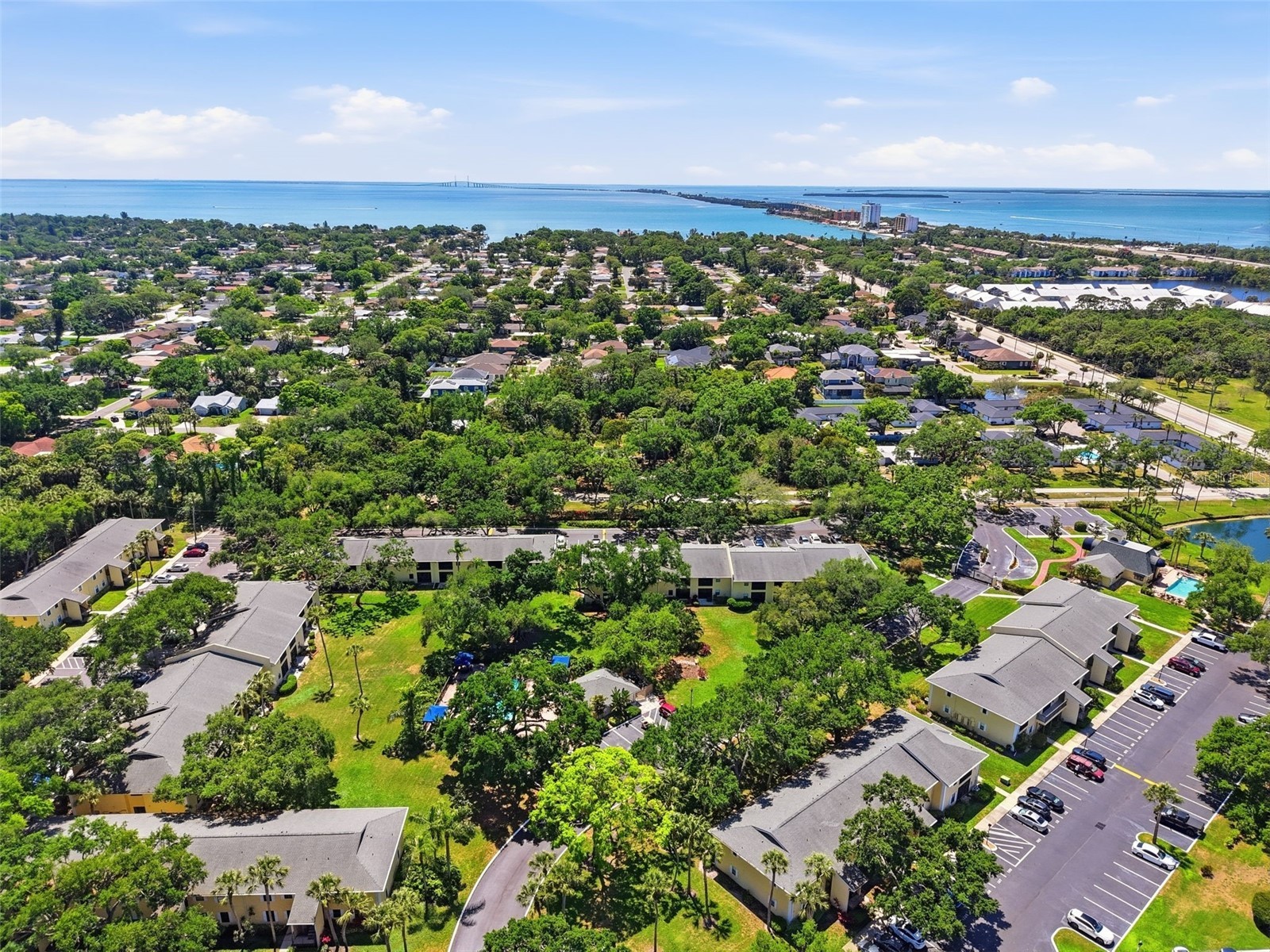 3001 58th Avenue S #1005 Saint Petersburg FL 33712 TB8502465 image34