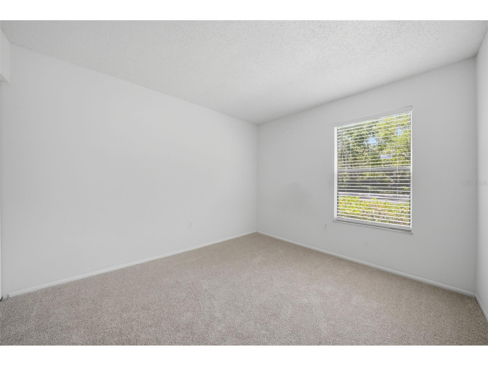 3001 58th Avenue S #1005 Saint Petersburg FL 33712 TB8502465 image47