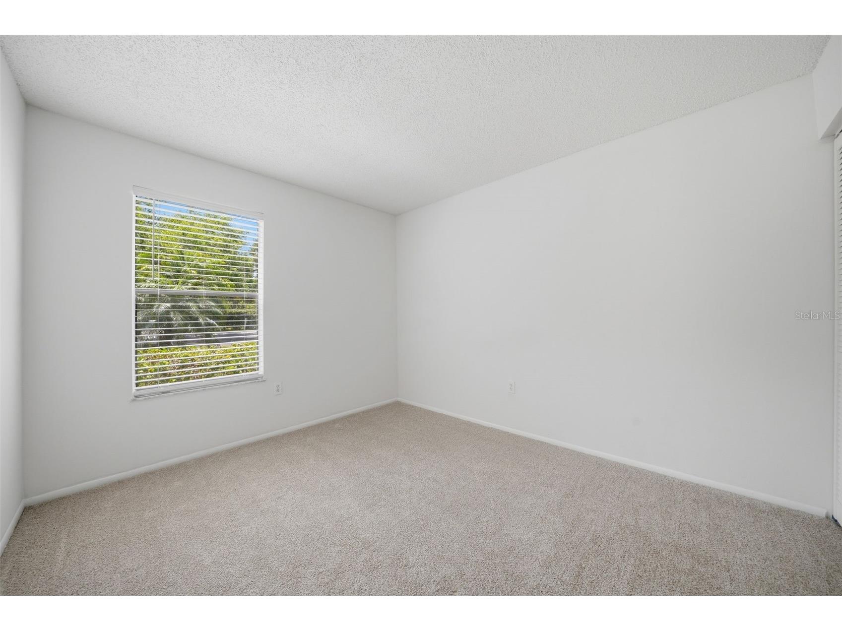 3001 58th Avenue S #1005 Saint Petersburg FL 33712 TB8502465 image49