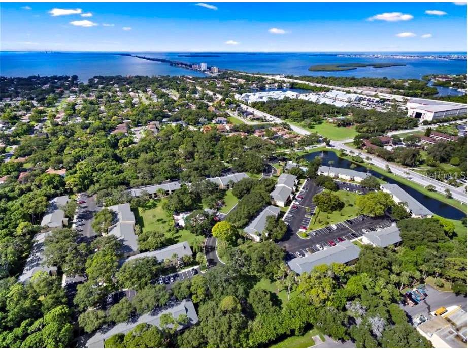 3001 58th Avenue S #1014 FURNISHED Saint Petersburg FL 33712 U8195484 image1