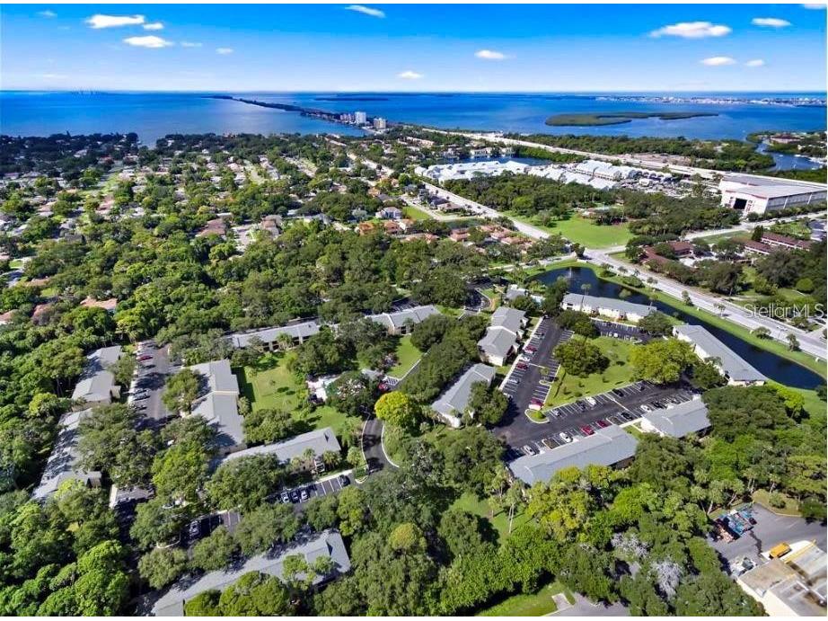 3001 58th Avenue S #1014 Saint Petersburg FL 33712 TB8490491 image1