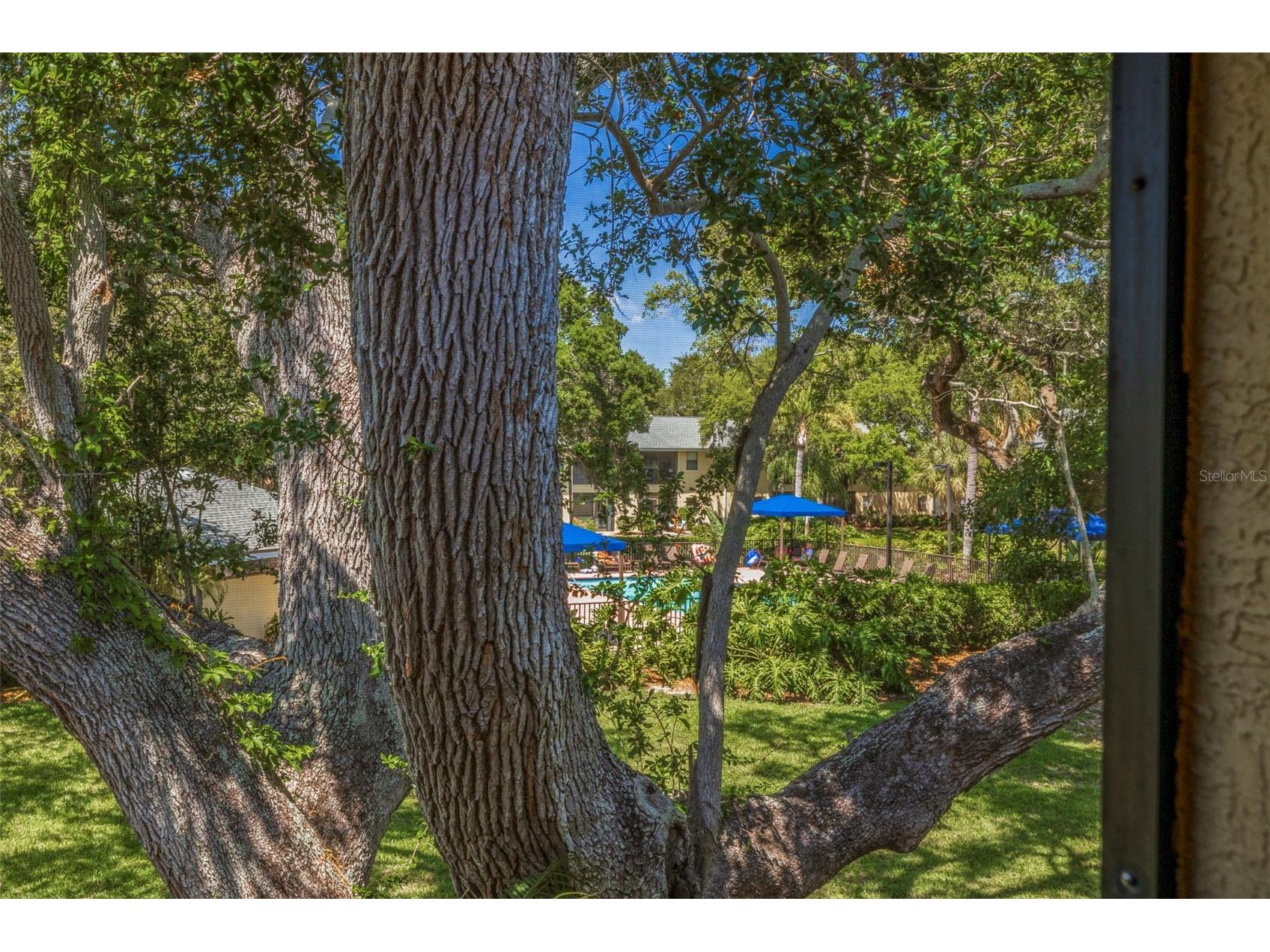 3001 58th Avenue S #1014 Saint Petersburg FL 33712 TB8490491 image31