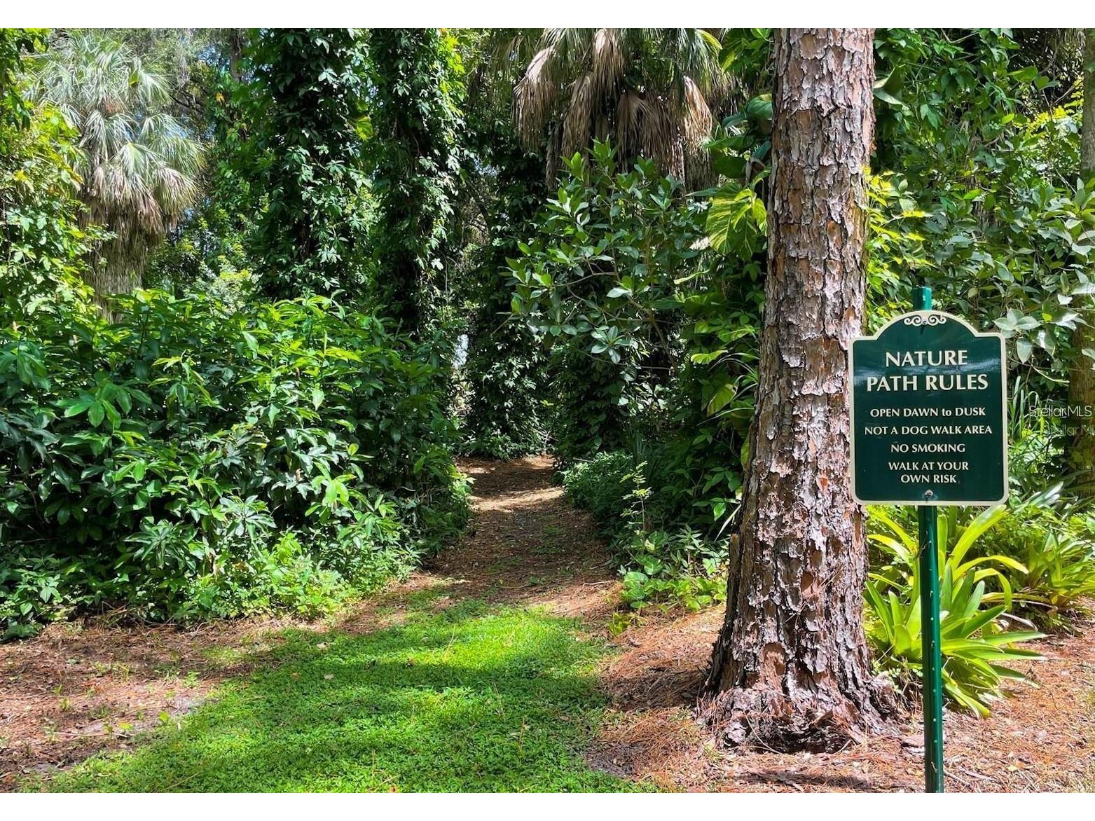 3001 58th Avenue S #1014 Saint Petersburg FL 33712 TB8490491 image37