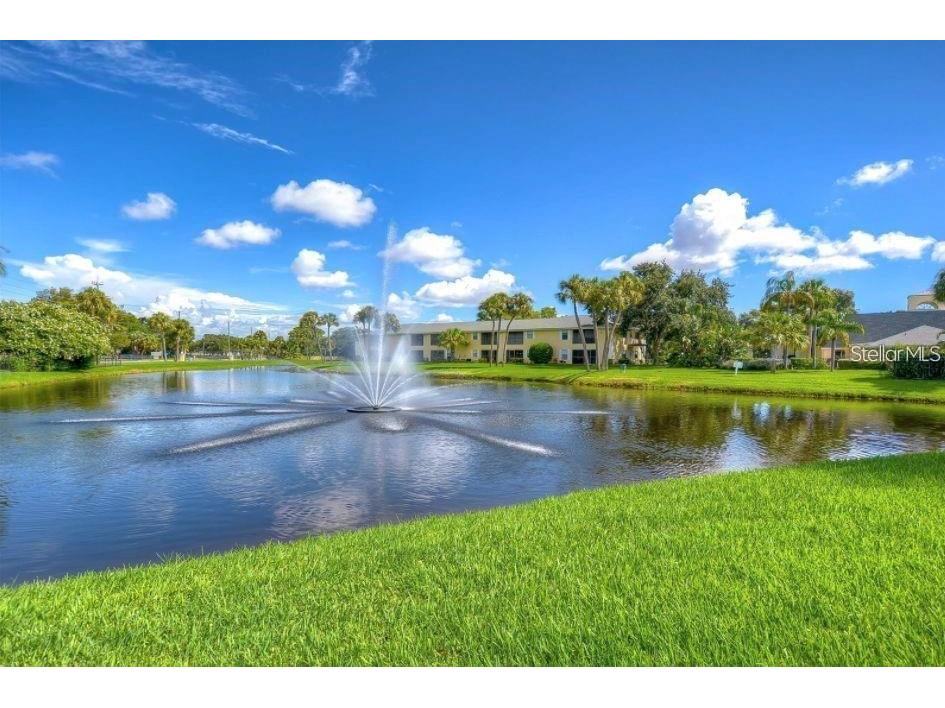3001 58th Avenue S #1014 Saint Petersburg FL 33712 TB8490491 image50