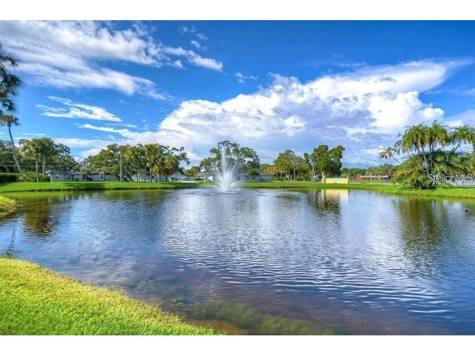 3001 58th Avenue S #1014 Saint Petersburg FL 33712 TB8490491 image51