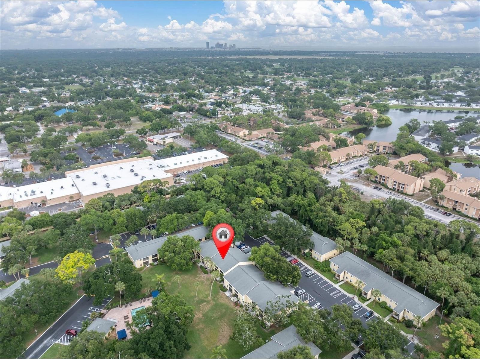 3001 58th Avenue S #1211 Saint Petersburg FL 33712 TB8507784 image29