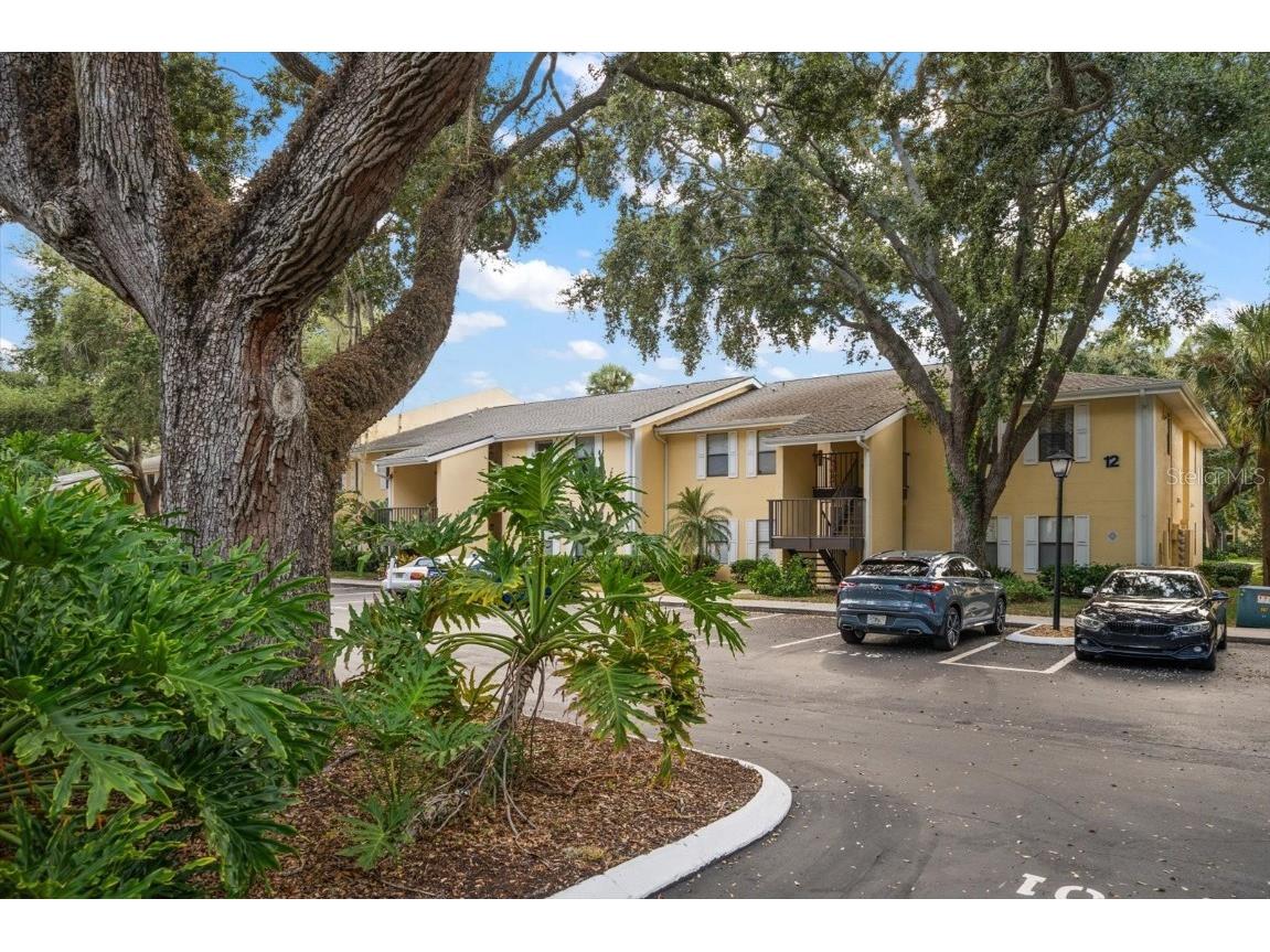 3001 58th Avenue S #1216 Saint Petersburg FL 33712 TB8432408 image37