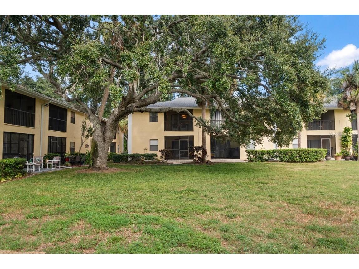 3001 58th Avenue S #1216 Saint Petersburg FL 33712 TB8432408 image39