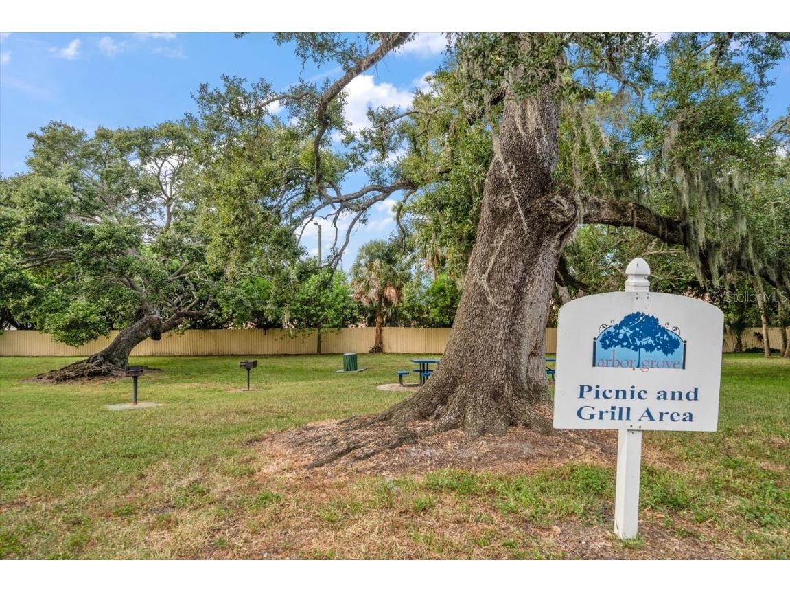 3001 58th Avenue S #1216 Saint Petersburg FL 33712 TB8432408 image40