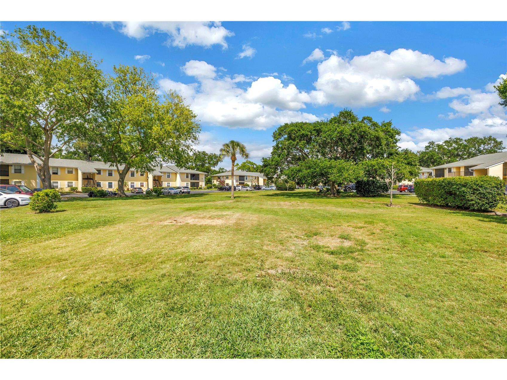 3001 58th Avenue S #315 Saint Petersburg FL 33712 TB8500058 image35
