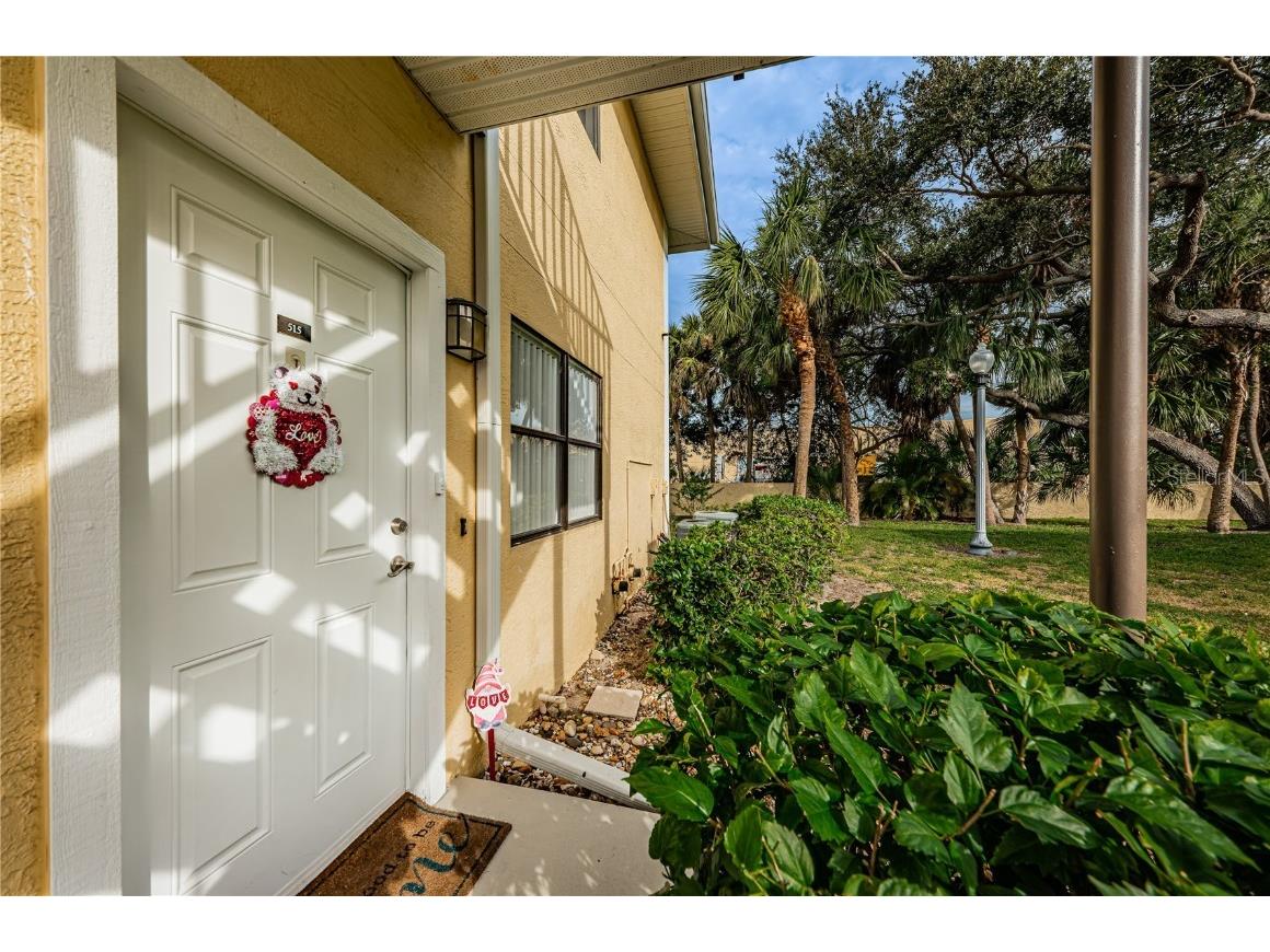 3001 58th Avenue S #515 Saint Petersburg FL 33712 U8228719 image1