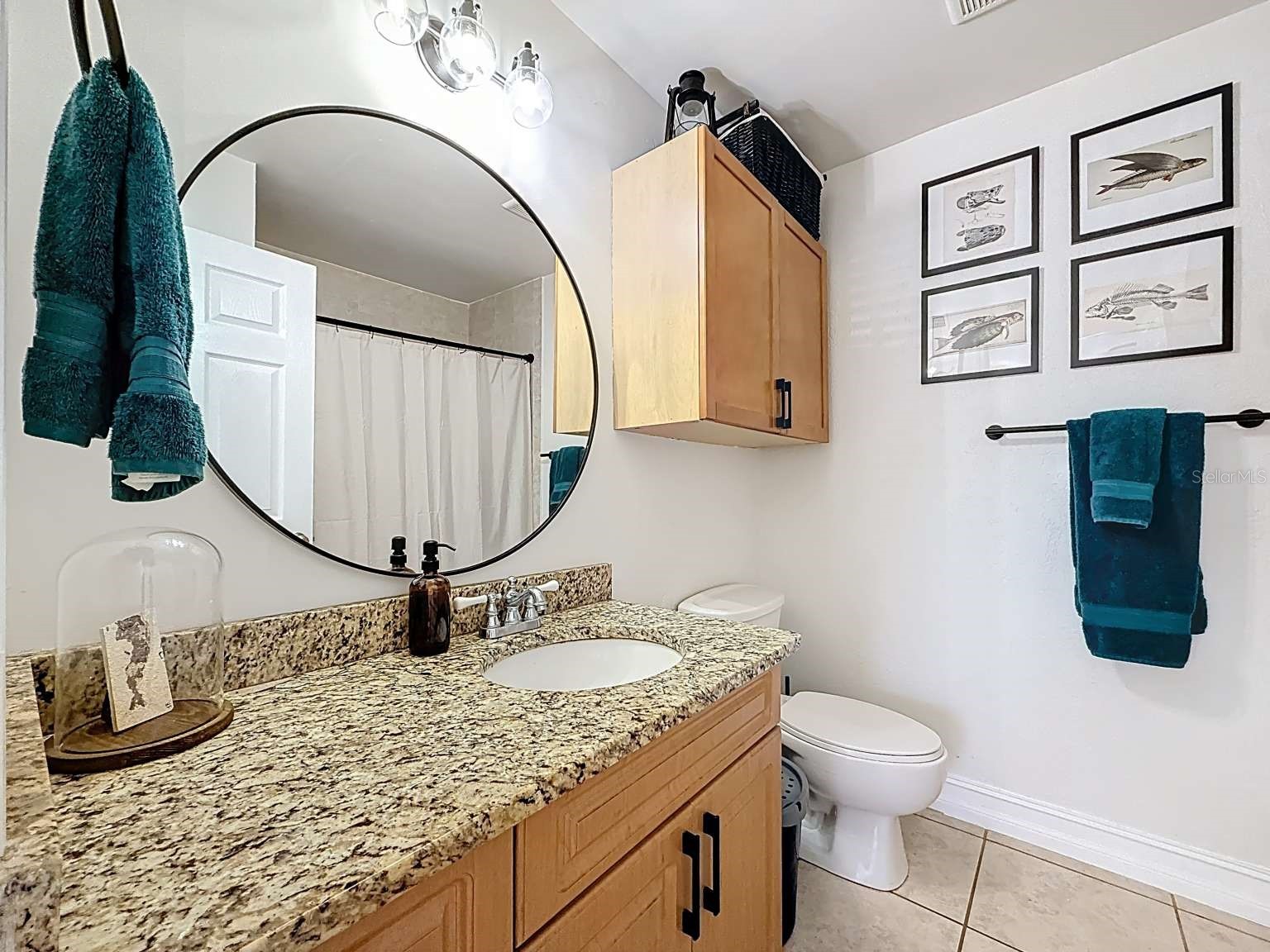 3001 58th Avenue S #603 Saint Petersburg FL 33712 TB8502164 image16
