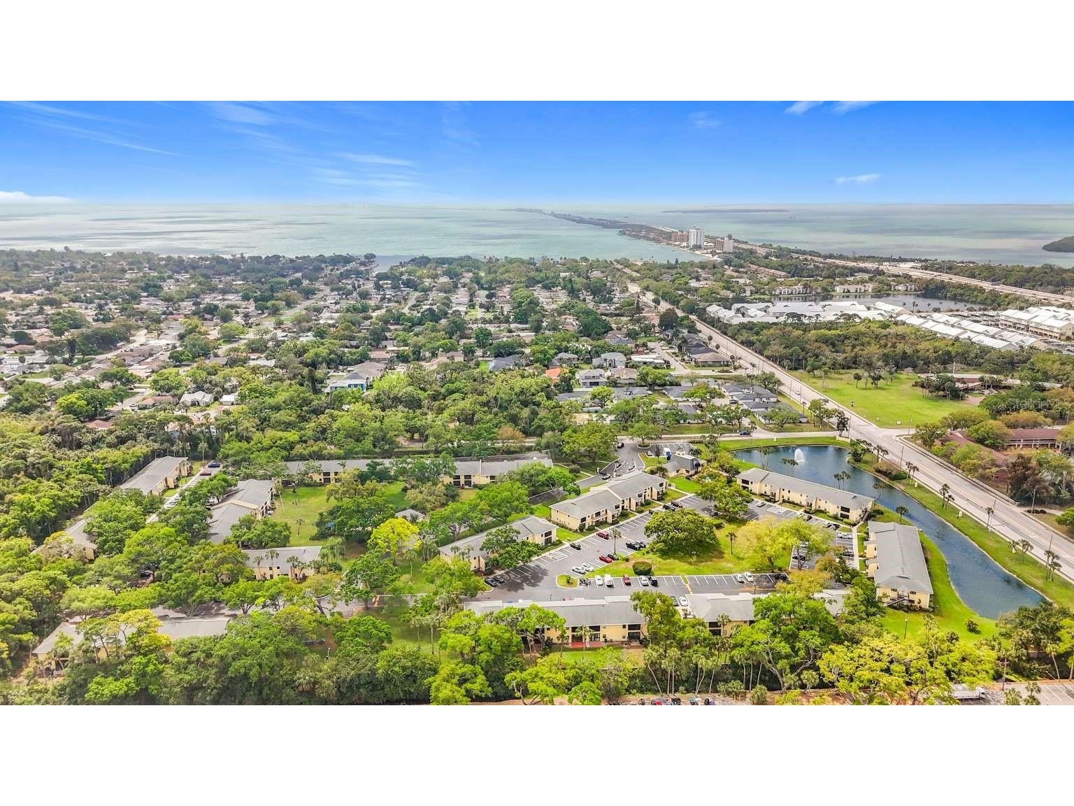 3001 58th Avenue S #603 Saint Petersburg FL 33712 TB8502164 image20