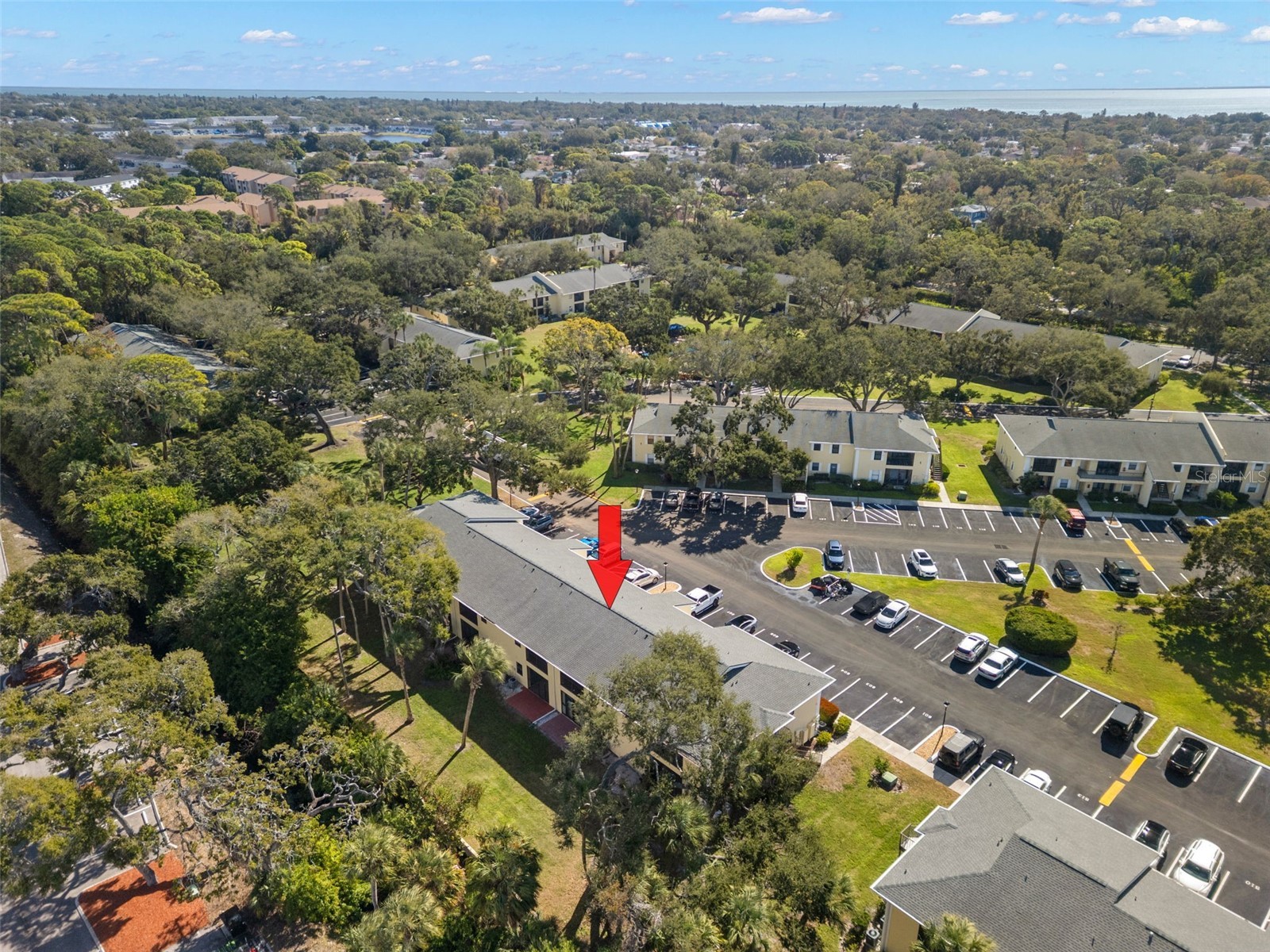3001 58th Avenue S #606 Saint Petersburg FL 33712 TB8467330 image25