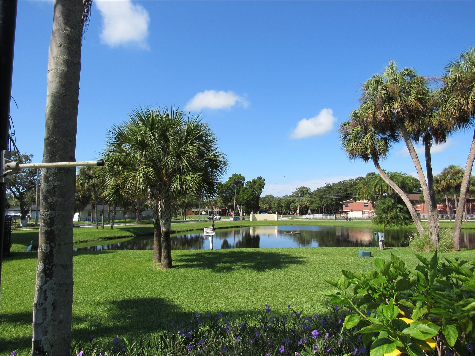 3001 58th Avenue S #610 Saint Petersburg FL 33712 TB8506165 image65