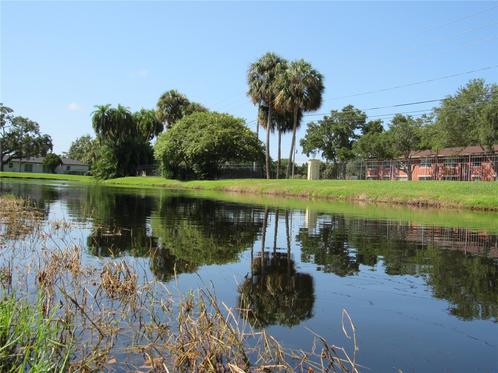 3001 58th Avenue S #610 Saint Petersburg FL 33712 TB8506165 image67