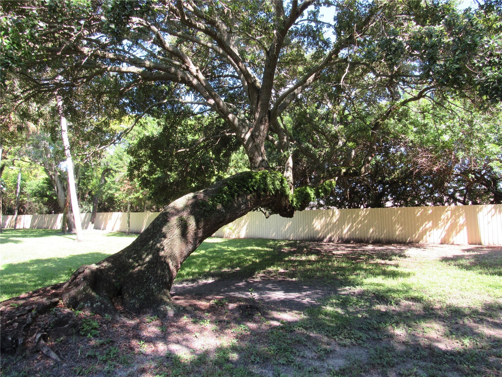 3001 58th Avenue S #610 Saint Petersburg FL 33712 TB8506165 image70