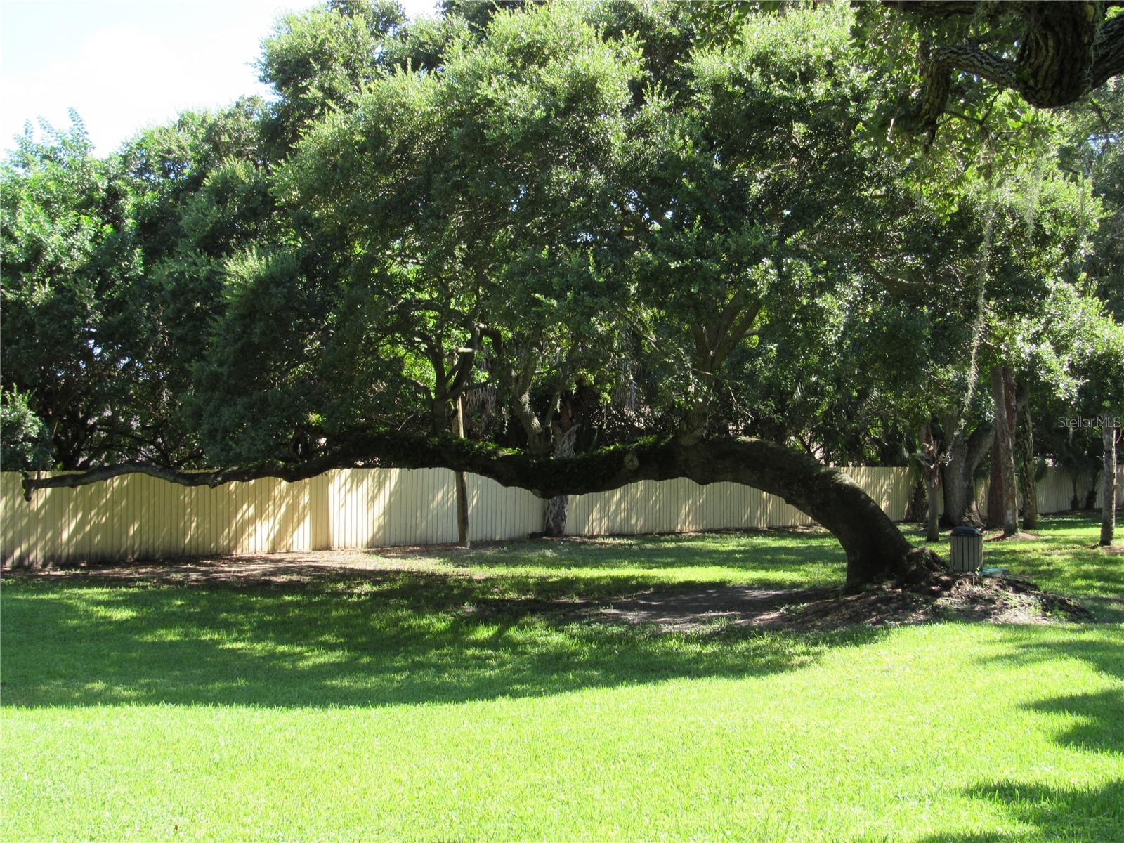 3001 58th Avenue S #610 Saint Petersburg FL 33712 TB8506165 image72