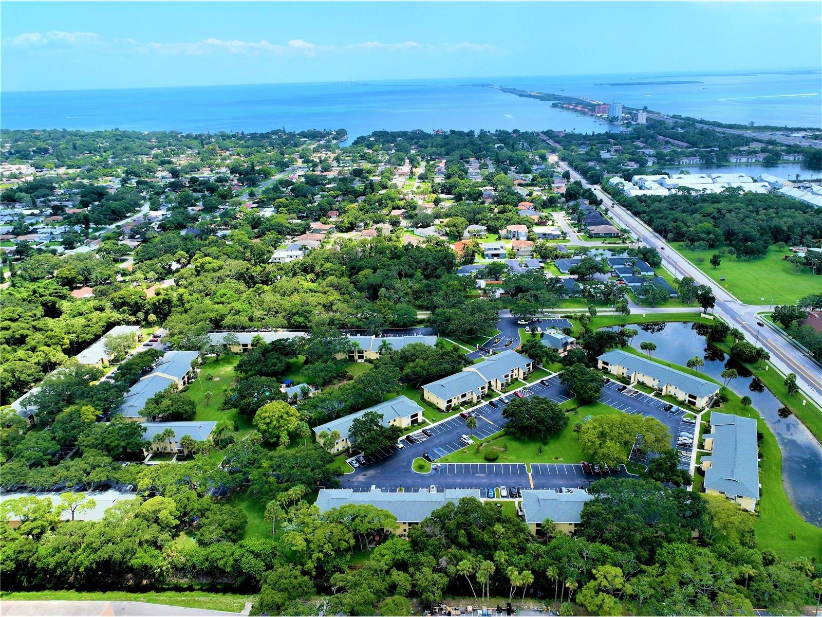 3001 58th Avenue S #610 Saint Petersburg FL 33712 TB8506165 image85