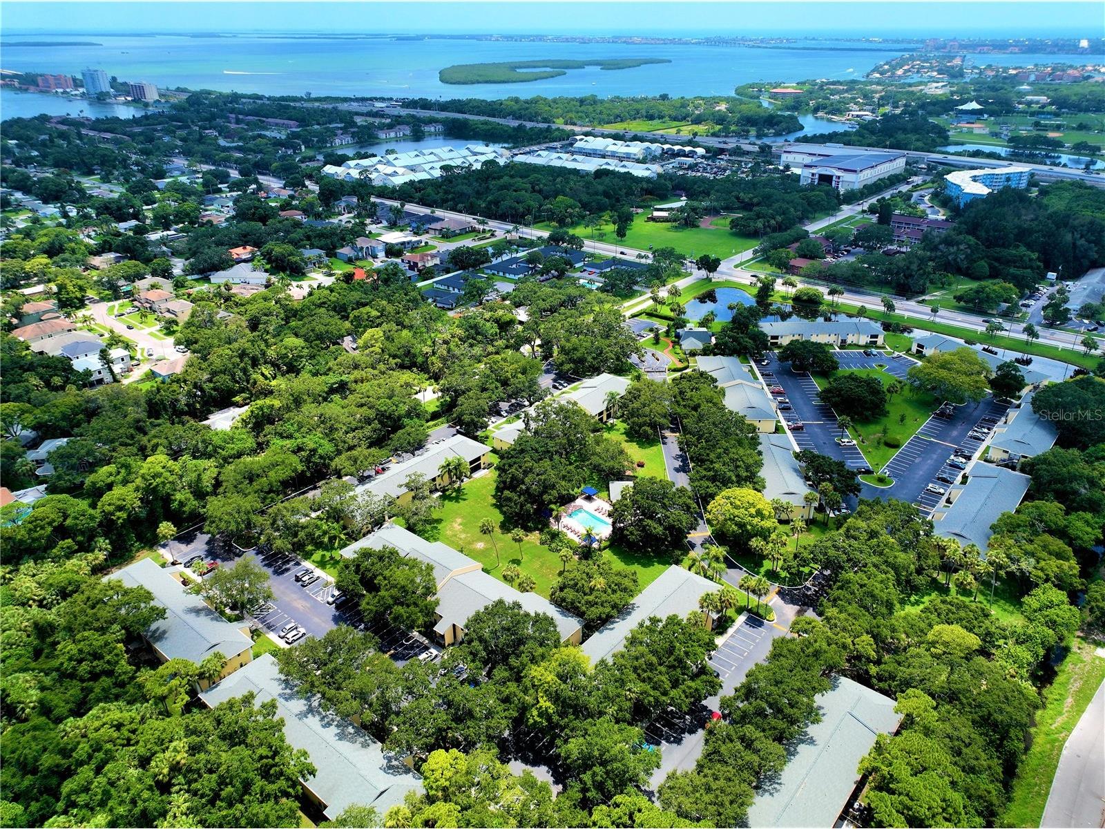 3001 58th Avenue S #610 Saint Petersburg FL 33712 TB8506165 image88