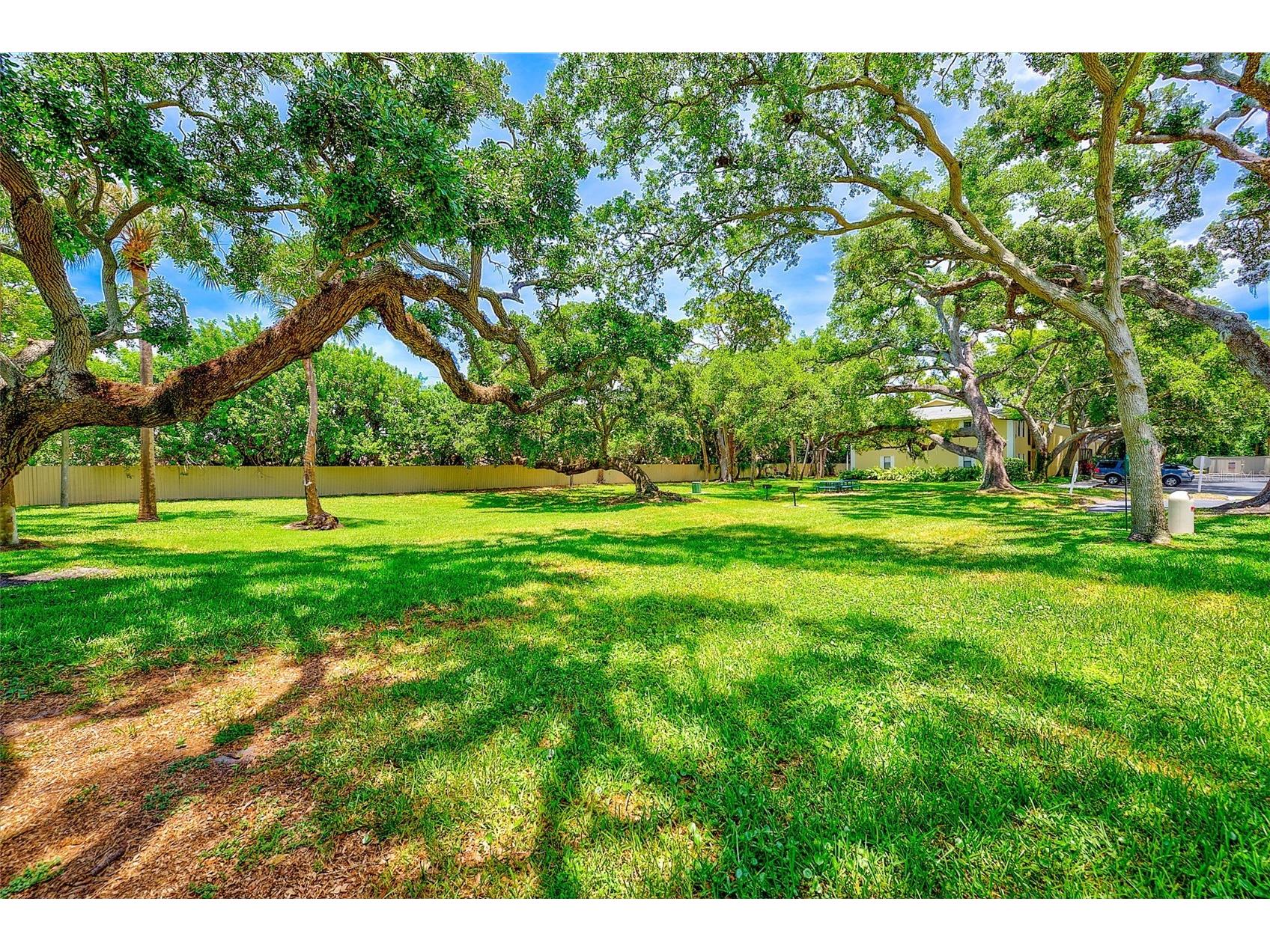 3001 58th Avenue S #612 Saint Petersburg FL 33712 TB8517628 image35