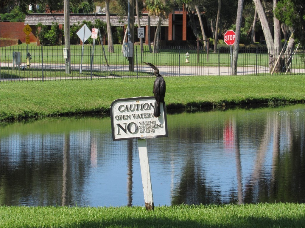 3001 58th Avenue S #904 Saint Petersburg FL 33712 TB8457634 image43